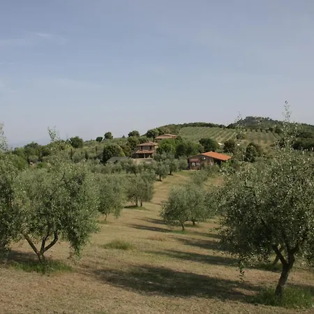 The Montali Lantställe *
