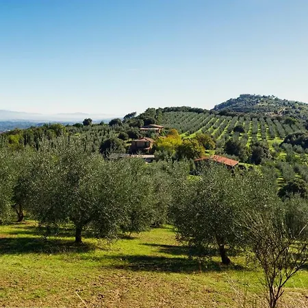 The Montali Tavernelle (Panicale)