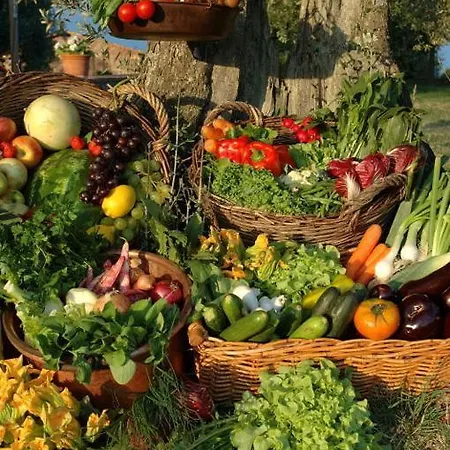 The Montali Landhaus *