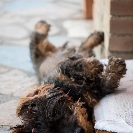 منزل ريفي The Montali *