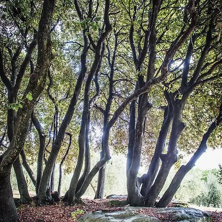 The Montali Tavernelle (Panicale)